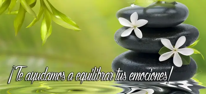 Te ayudamos a equilibrar tus emociones
